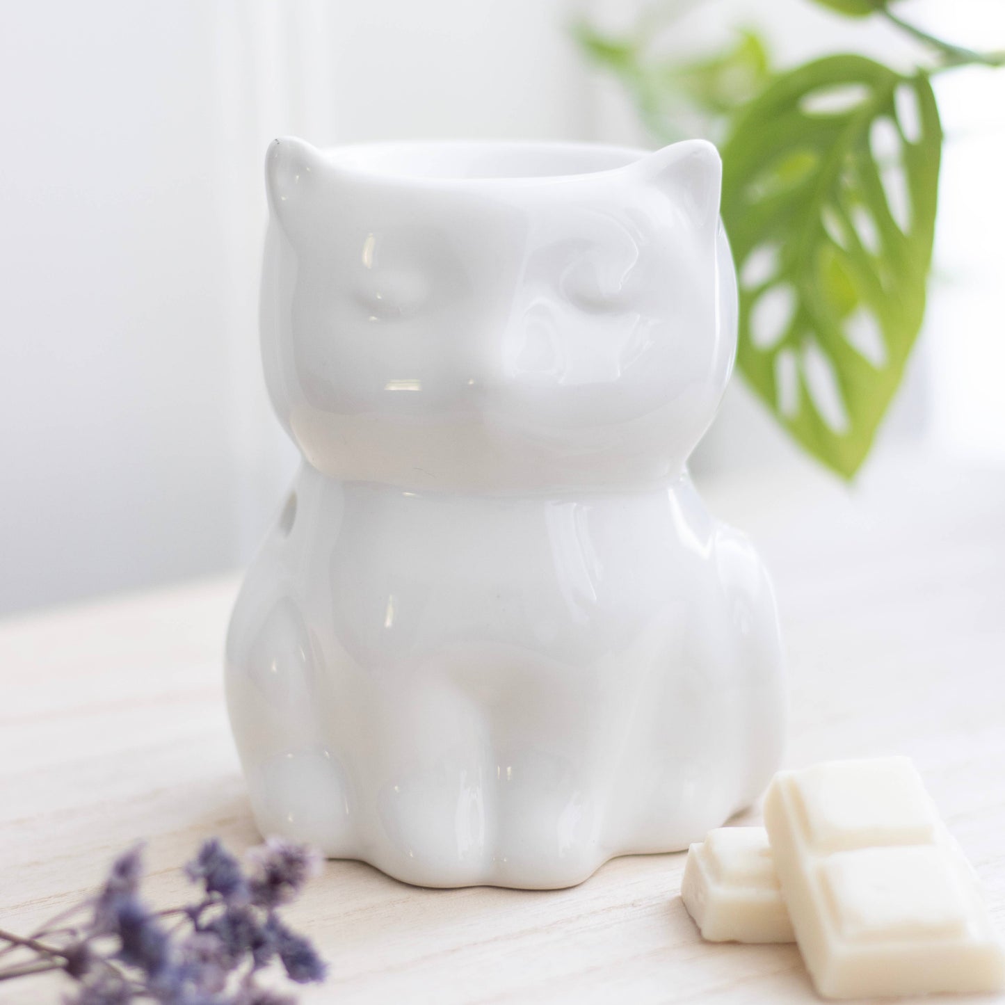 Brûleur fondant chat